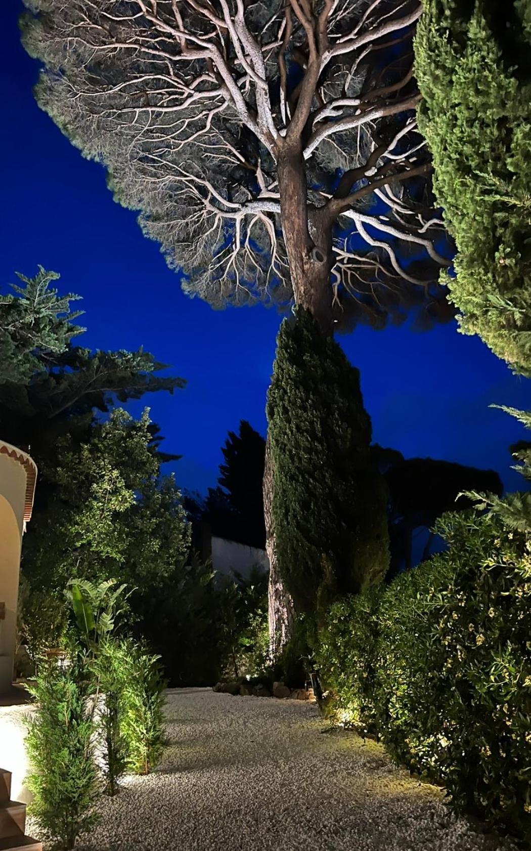 Maison D'Orange - La Pinede Σαιν-Τροπέ Εξωτερικό φωτογραφία